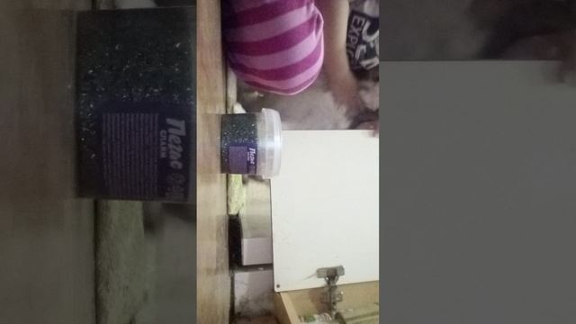 Небольшой блог с Чарли и обзорчик +ком