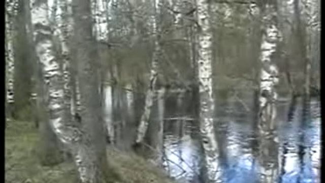река Волчья