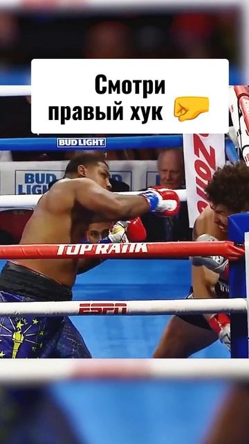 67.mp4