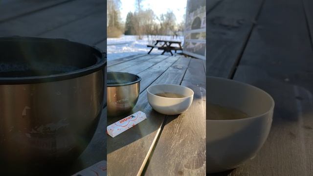 Поездка в зимний Павловск на пригородном электричке