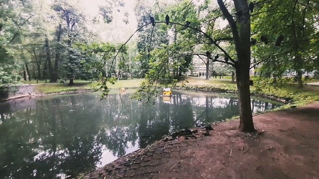 Пруд в Грачёвском парке,как с картины Васнецова