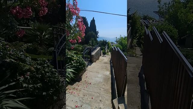 1000071903.mp4