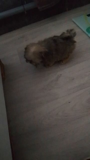 VID_20250620_184800.mp4