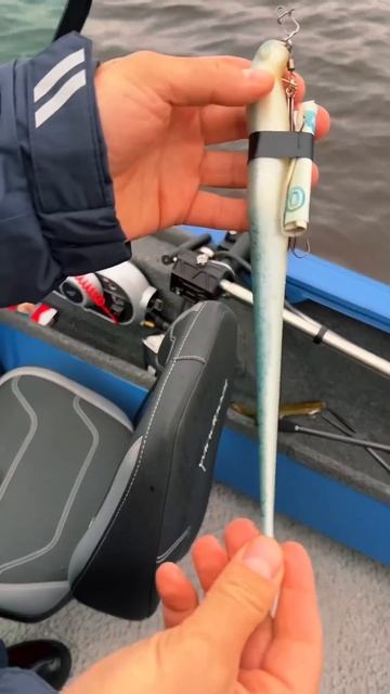 Шок приманка на судака #fishing #music #рыбалка #рекомендации #поклевка# судак