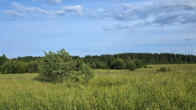 PXL_20250624_143248688