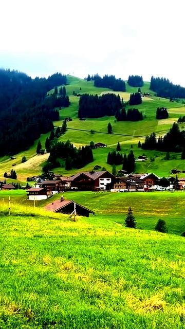 Камера в центре событий