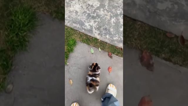 1000004843.mp4. ПОСТАВЬТЕ ЛАЙК👍👍👍🌹