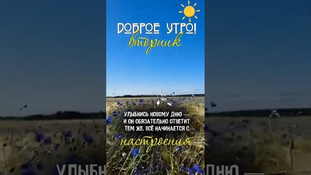 VID-20250624-WA0303