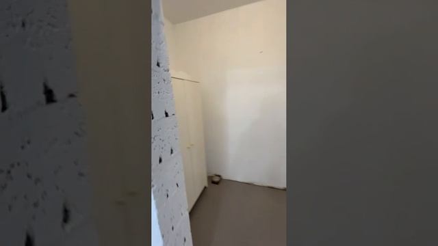 Помещение Свободного назначения г. Петушки, ул Московская д. 40