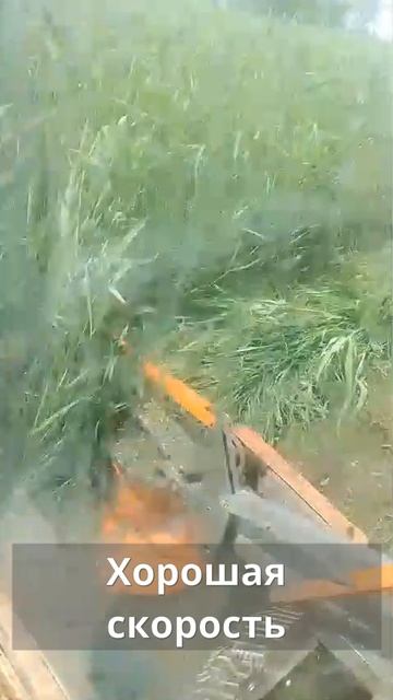 Косилкам Агростар нипочём любой агрофон, в том числе и Суданская трава!