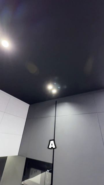 scene_output.mp4