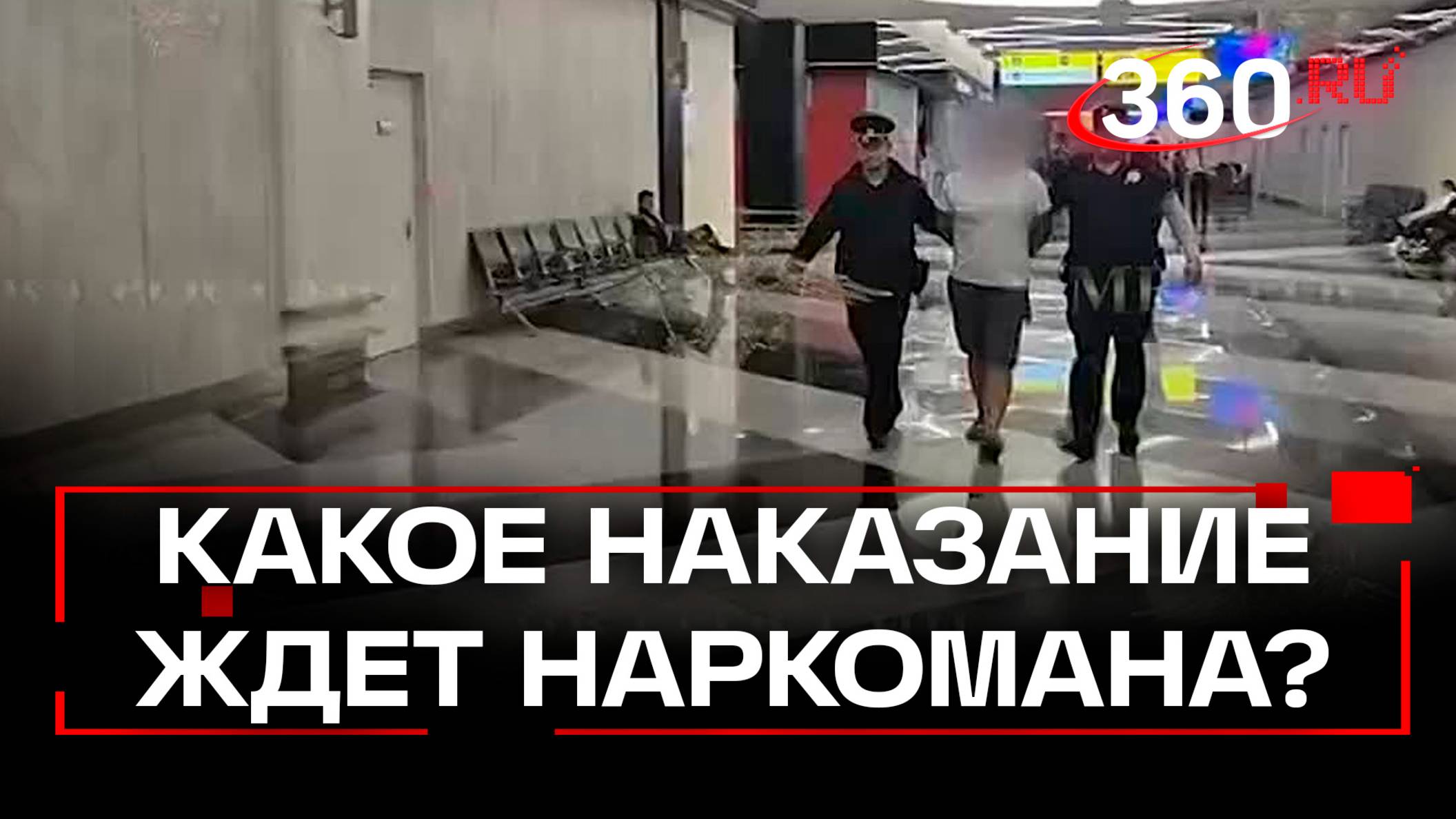 Неадеквату, который бросил ребёнка в Шереметьево, грозит до 20 лет заключения