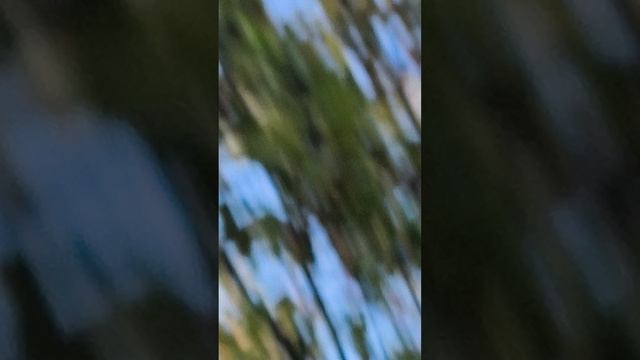 Слежка заканчивается