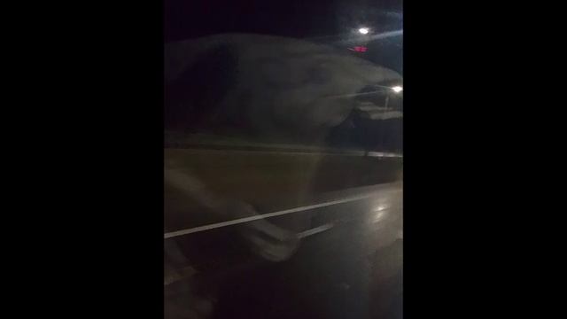 Чувства по венам