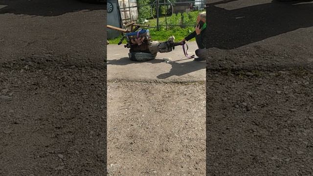 в гостях у соседей. 2.