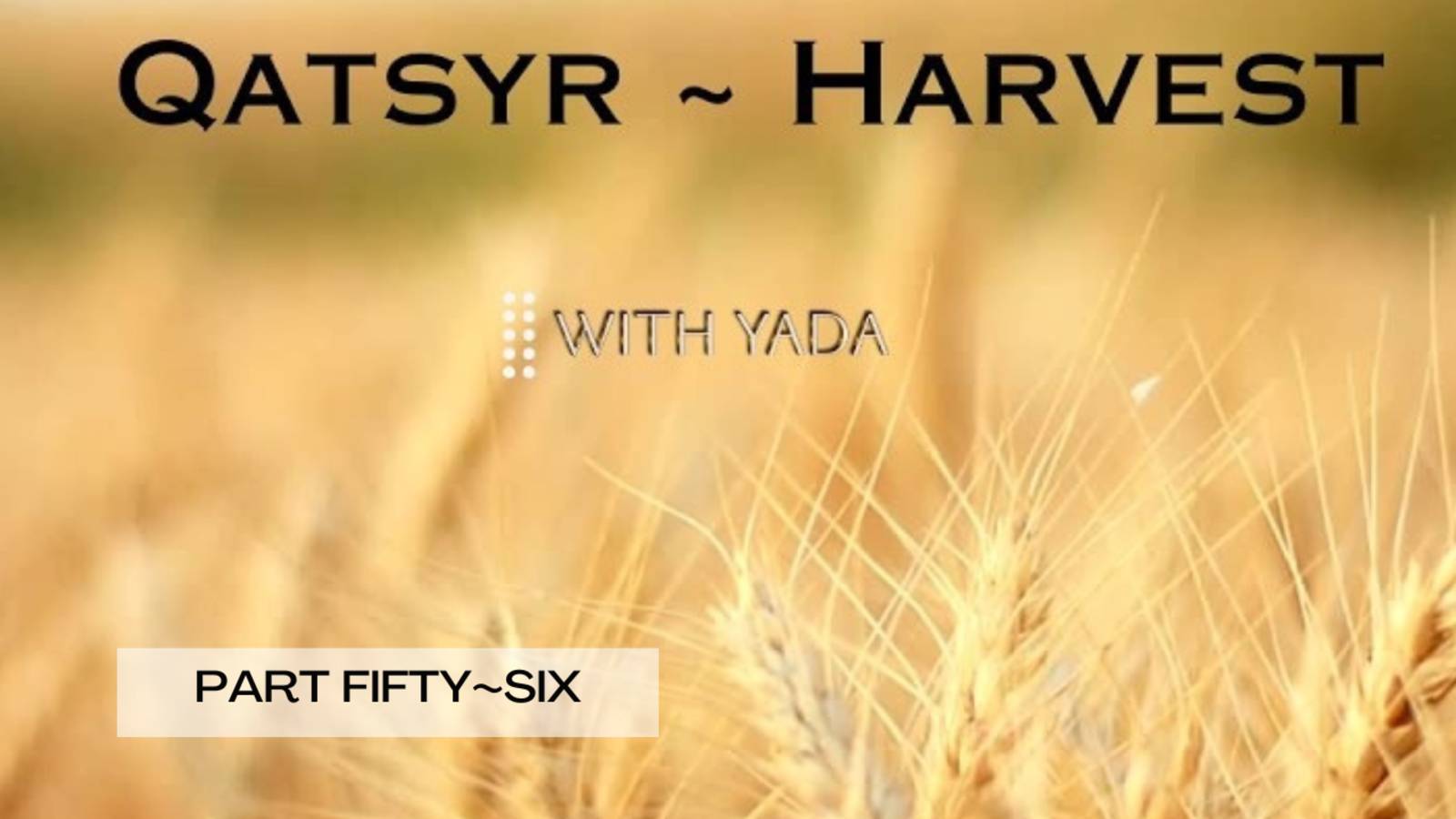 Qatsyr ~ Harvest Part Fifty~Six 25 June 2025