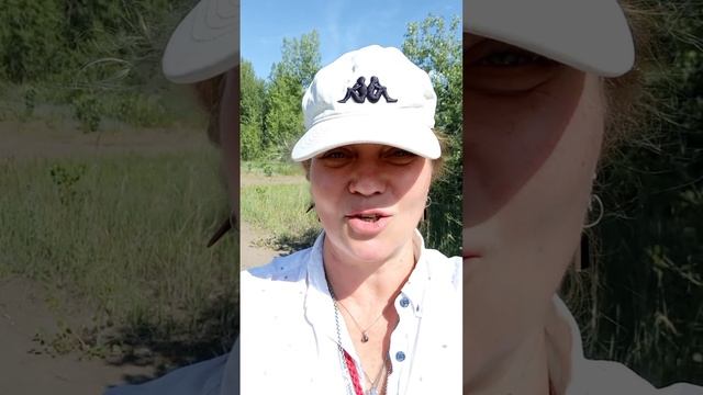 Почему закрыты водоемы? Вопрос тревелблогерa