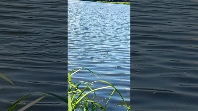 1000020796.mp4