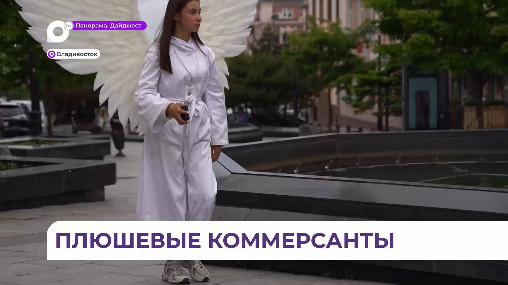 Аниматоры на улице Фокина во Владивостоке за фото с собой берут немалые деньги