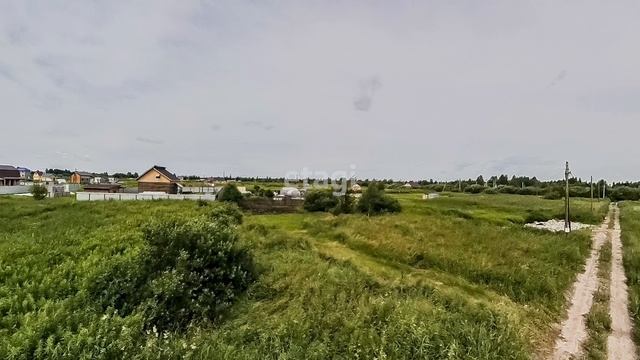 8907026