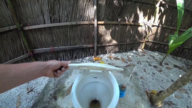 МАЛЬДИВЫ / НАШЕЛ НА ОСТРОВЕ ГОТОВЫЙ БИЗНЕС / УНИТАЗ СРЕДИ ДЖУНГЛЕЙ /