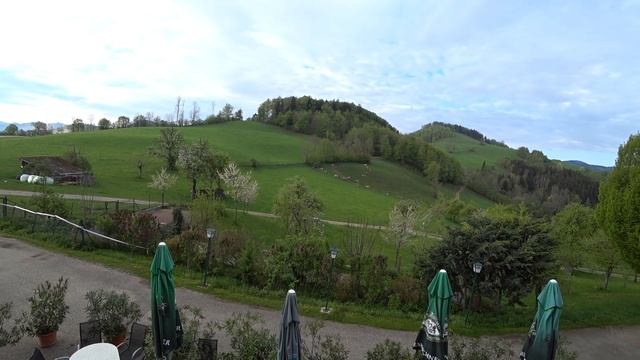 АЛЬПИ/НЕЗАБУТНЯ КРАСА/ВИСОКОГІРНИЙ ГОТЕЛЬ/КОРОВИ З РЕКЛАМИ MILKY WAY/КОЗИ З ДЗВІНОЧКАМИ