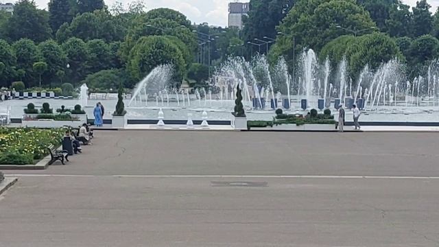 Парк Горького: пальмы, декоративный лук, цена на мороженое