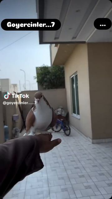 1000008518.mp4