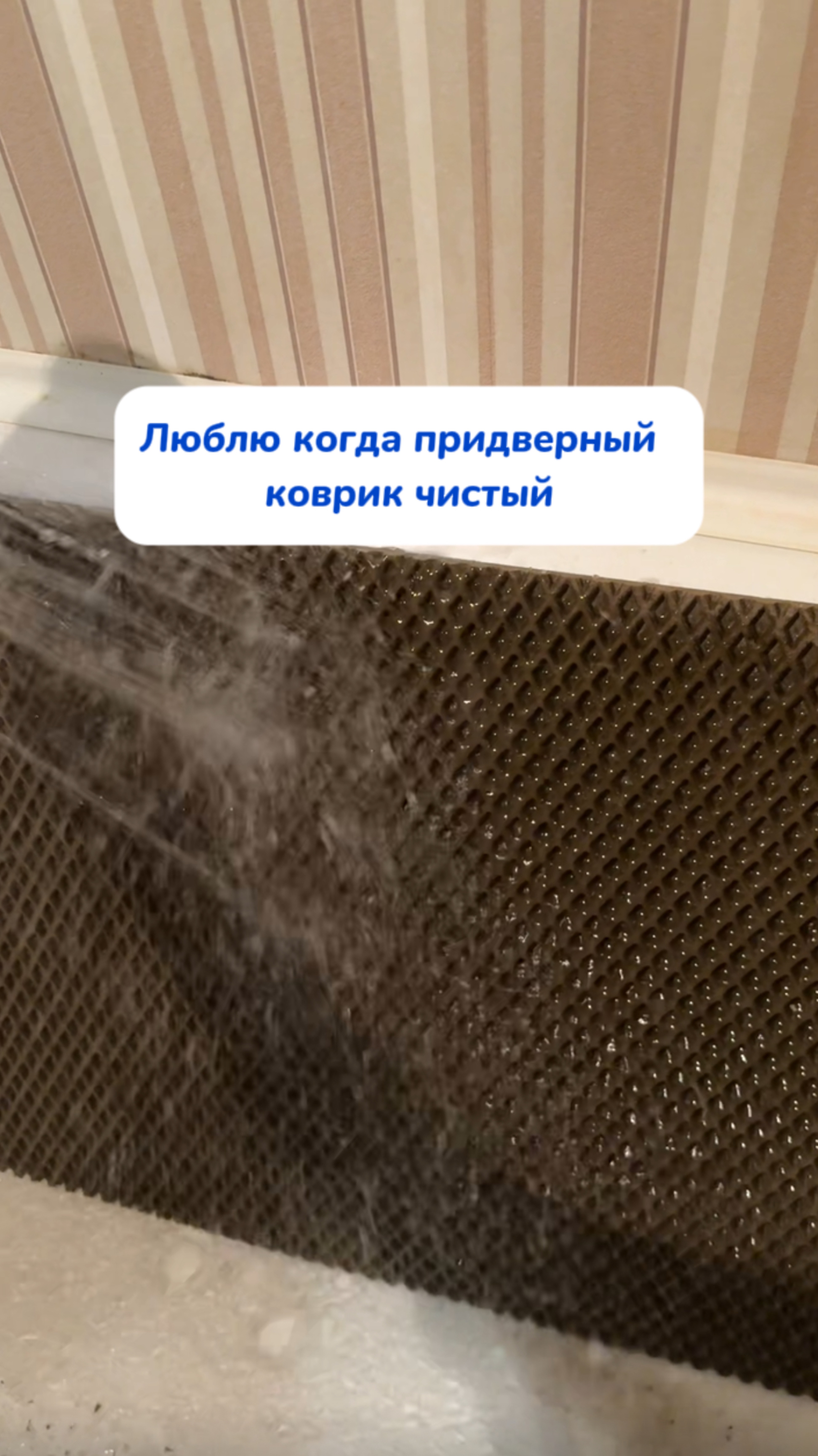 Обожаю чистоту