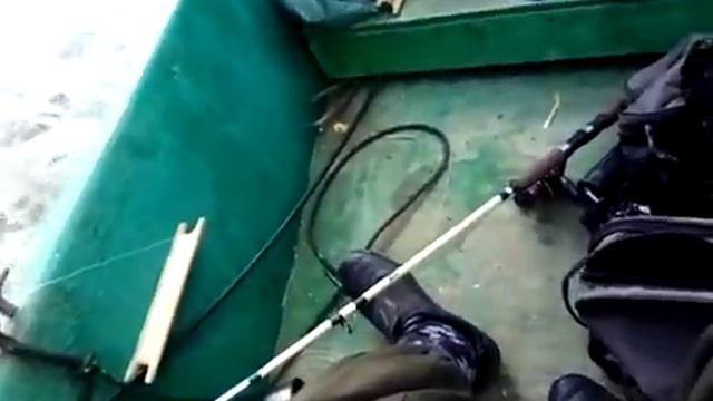 Друзья с Белоруссии так же не остались без сазана