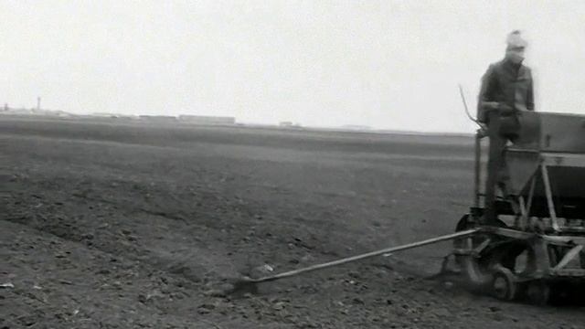 1986 год. Тюменская область. На совхозных полях