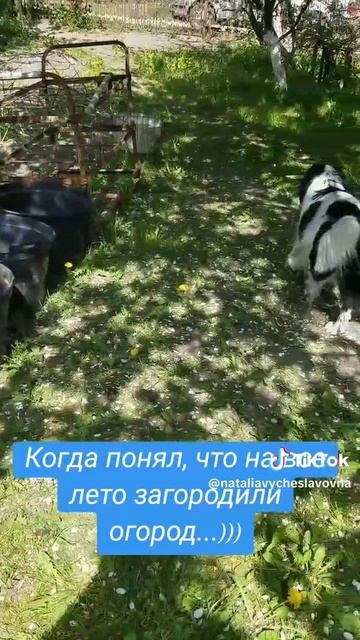 Загородили...)))