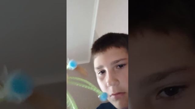 классные игрушки для котика