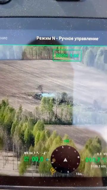 Лесной пожар с птичьего полета🌲🔥