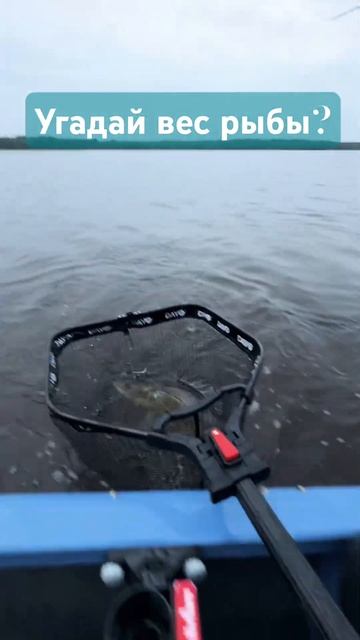 Новый рекорд сезона ! #music#fishing #рыбалка #рекомендации#охонанагодзиллу