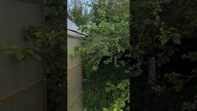 Дом в Подгородней Покровке Оренбург