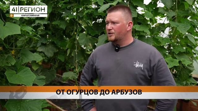 ФИНАНСОВУЮ ГОСПОДДЕРЖКУ НА РАЗВИТИЕ БИЗНЕСА ПОЛУЧИЛ КАМЧАТСКИЙ ФЕРМЕР• НОВОСТИ КАМЧАТКИ
