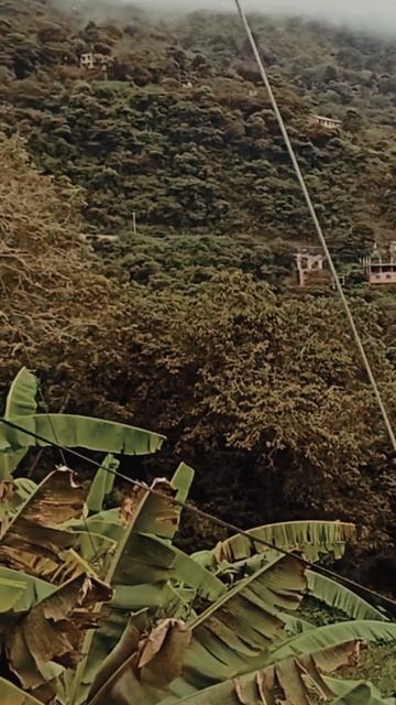 🇧🇴 "COROICO" La SELVA BOLIVIANA 👉 Un PARAISO ❓❓ #2 #shorts