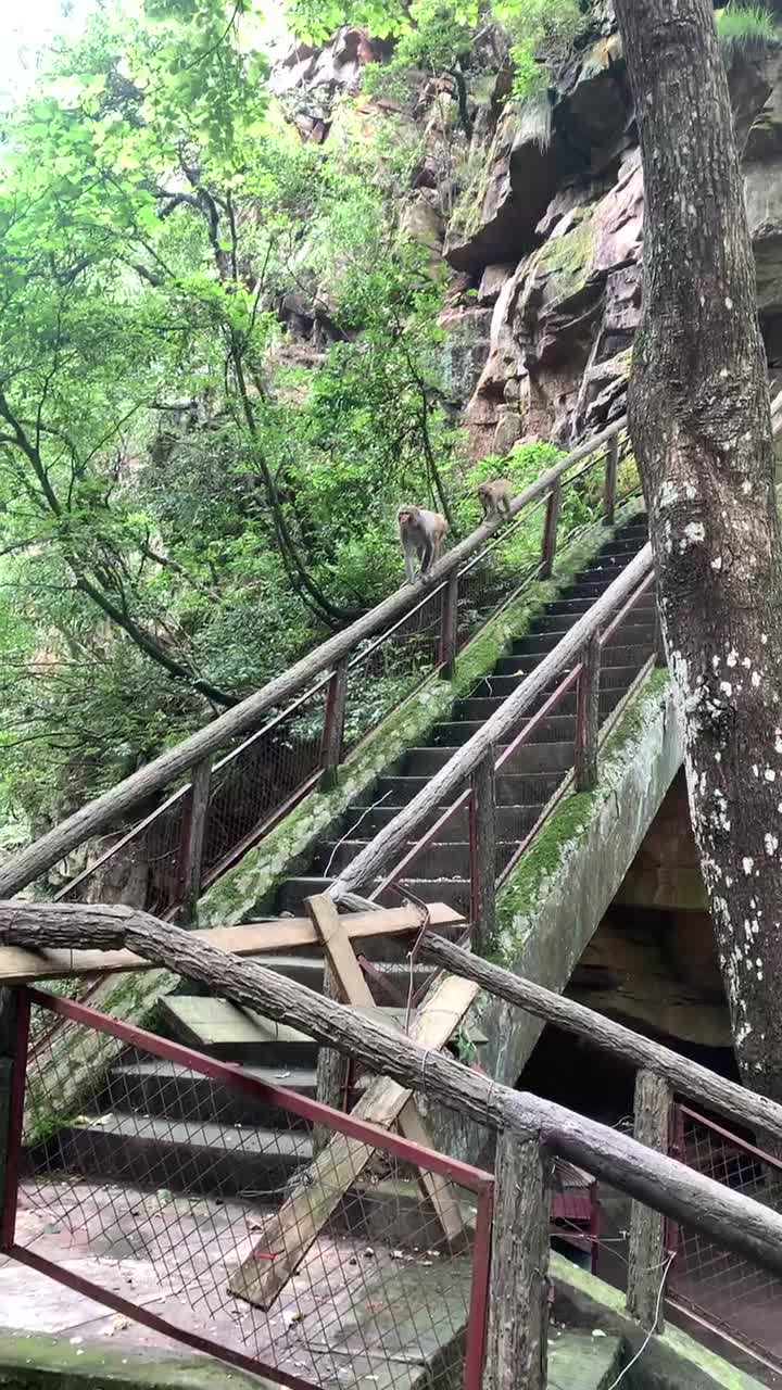 Мерзкие тварюги :)