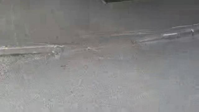 В поисках грибов