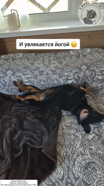 спортивные упражнения