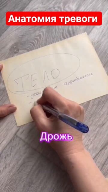 Анатомия тревоги