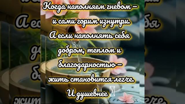 VID_20250625_051027_653.mp4