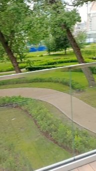 САНЯ и #мост