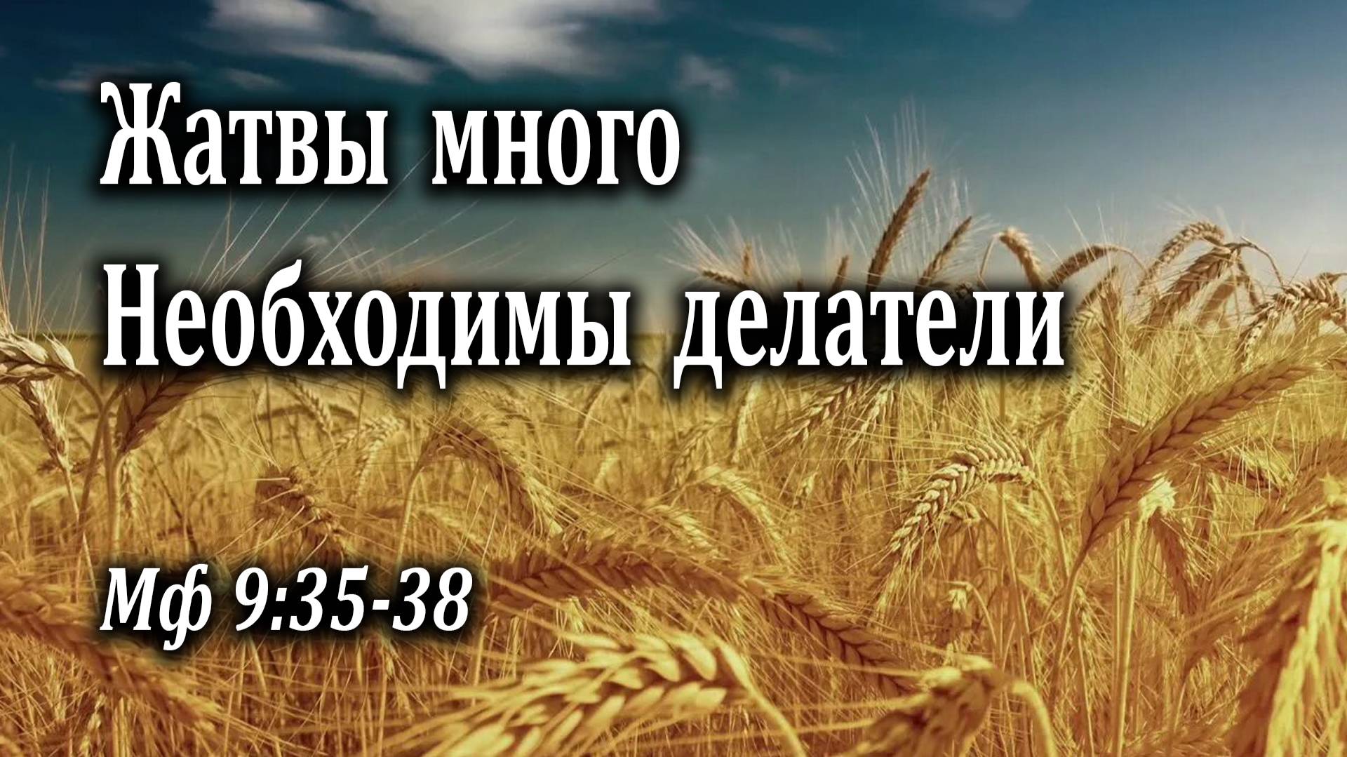 18.09.2022 "Жатвы много. Необходимы делатели" Мф 9:35-38 Инжеватов Евгений