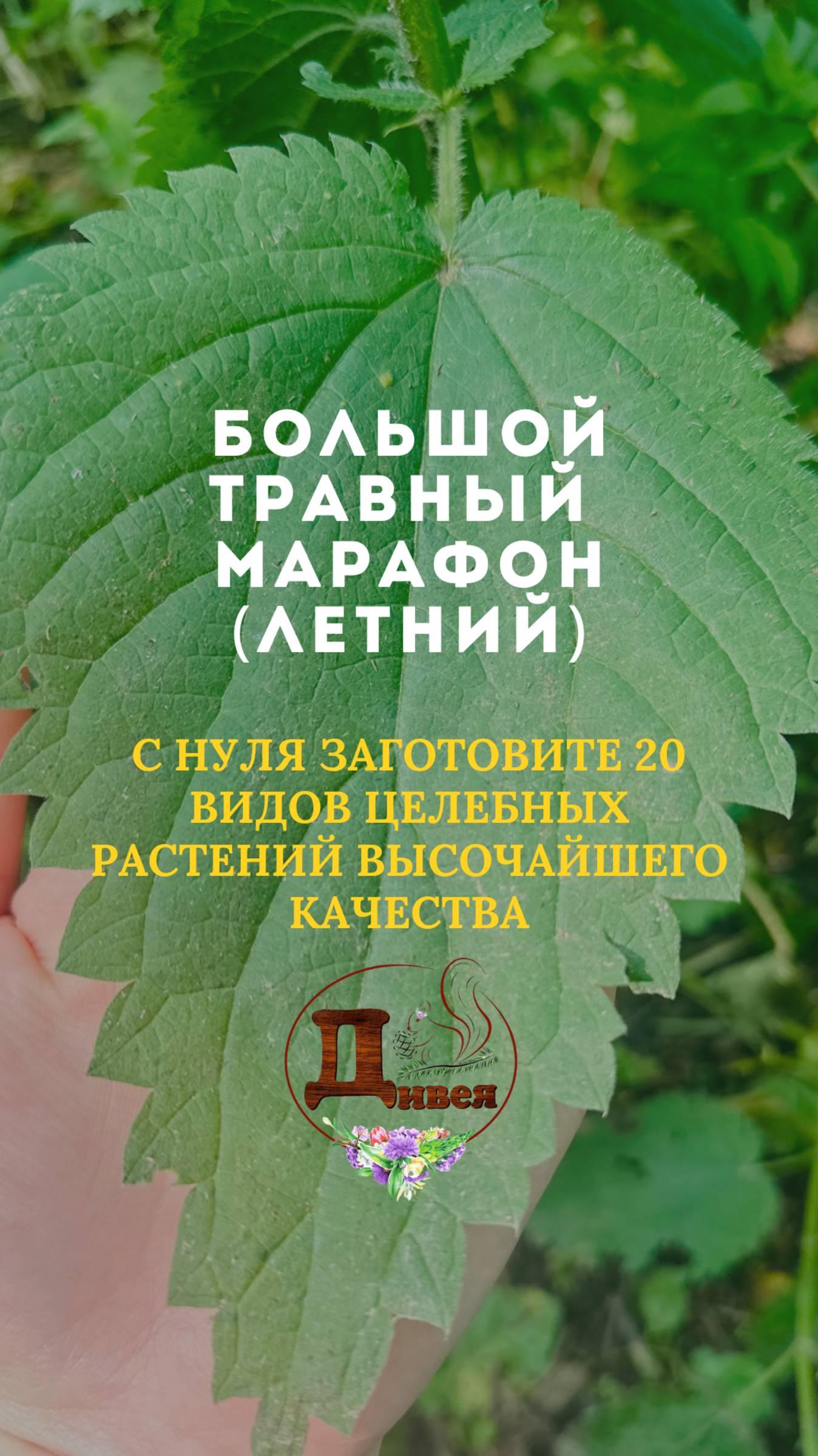Большой травный марафон (летний)