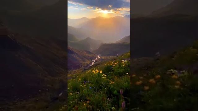 Природа родного края