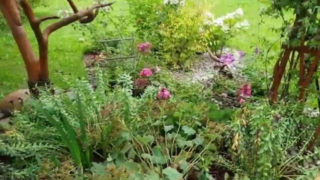 Мой летний сад часть (6)