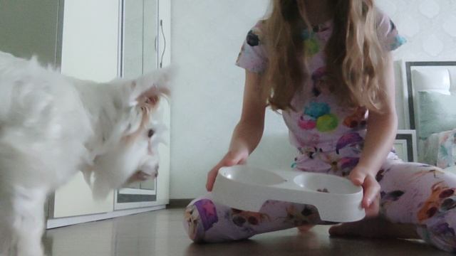 Белла что ты любишь кушать