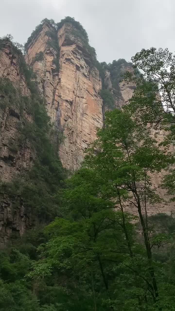 Фантастика